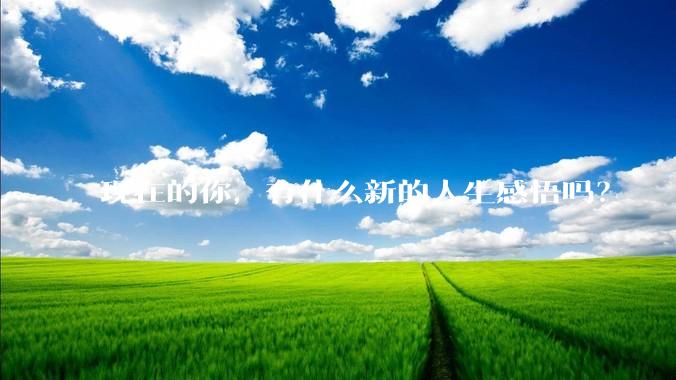 现在的你，有什么新的人生感悟吗？