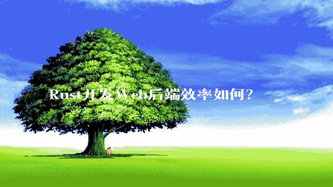 Rust开发Web后端效率如何？