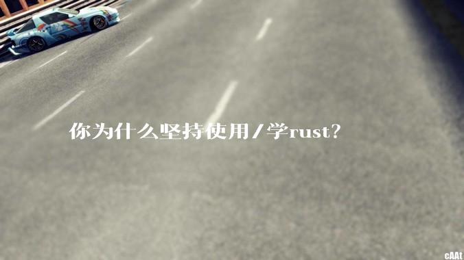 你为什么坚持使用/学rust？